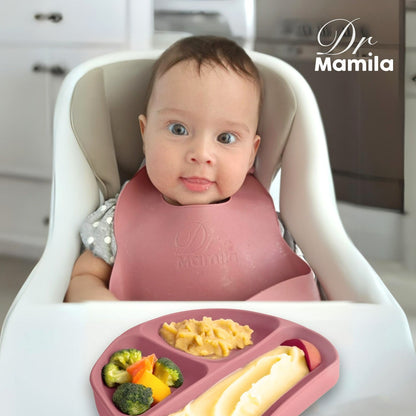 Kit de Alimentación para Bebé | 6 Pzas | BPA Free | Dr Mamila